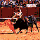 toreau.gif (3040 octets)