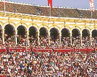 toro3.jpg (28455 octets)